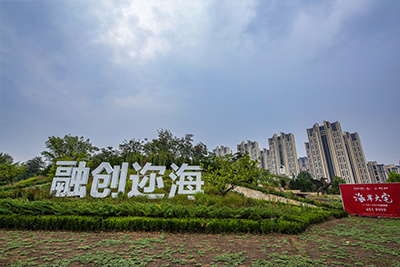 融创迩海
